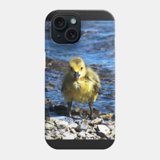 Wet Gosling Walking Along The Water Phone Case