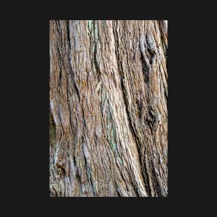 Tree Bark - Natural Texture Closeup T-Shirt