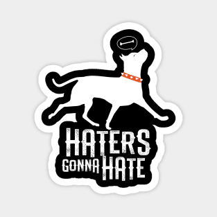 Haters Gonna Hate Magnet