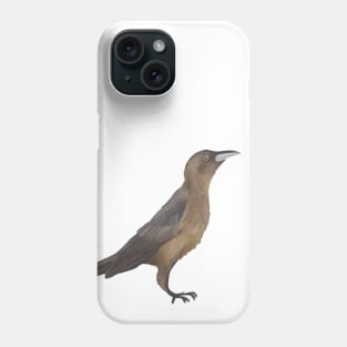 Long Tailed Grackle Phone Case