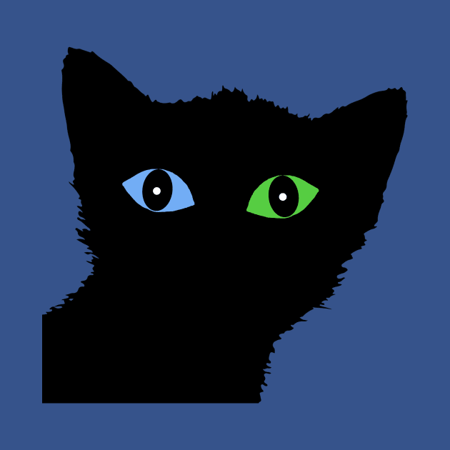 BLACK CAT WITH BLUE AND GREEN EYES by Scarebaby