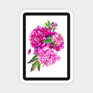 Pink Peonies Poster Peony Floral Print Blush Pink Peony Poster Peony Art Print Magnet