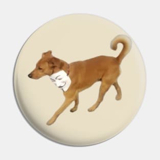 Anonymous Dog Pin