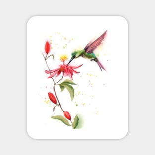 Watercolor Hummingbird with flower Magnet