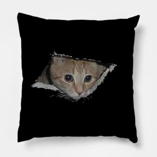 The same cat that looks out of a hole in the ceiling now looks out of a hole in anything! Pillow