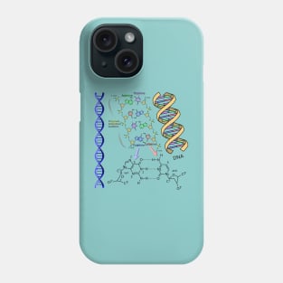 DNA Double Helix Chemical Formula Molecules Science Art Light Background Phone Case