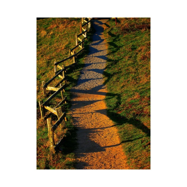 A Zigzag Fence. Point Reyes, California 2009 by IgorPozdnyakov