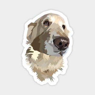 Golden Retriever Magnet