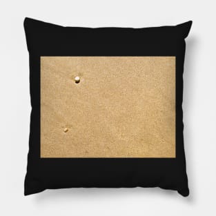 Sand Pillow