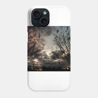 Stormy Weather Phone Case