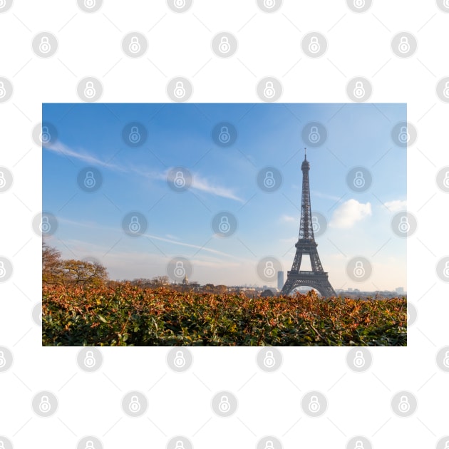 Autumn in Paris Eiffel Tower by SafariByMarisa