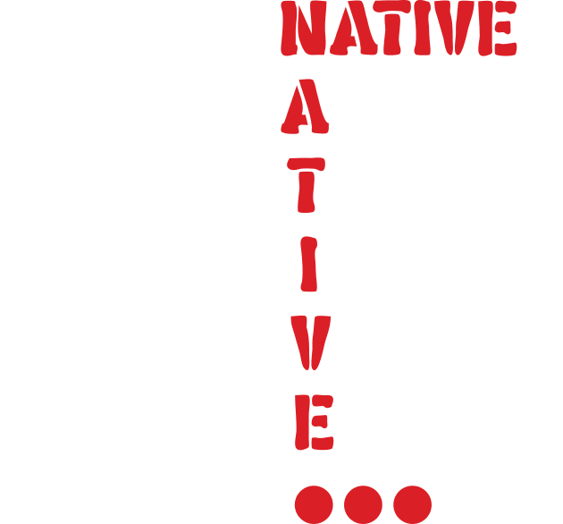 Proud Native American v2 Kids T-Shirt by Emma