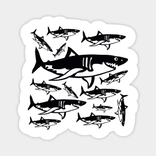 Sharks Magnet