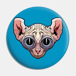 Sphinx Wrinkle Kitty Pin