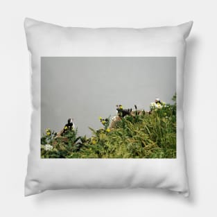 Puffins & Flowers Pillow