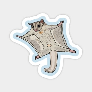 Sugar glider cartoon illustration Magnet