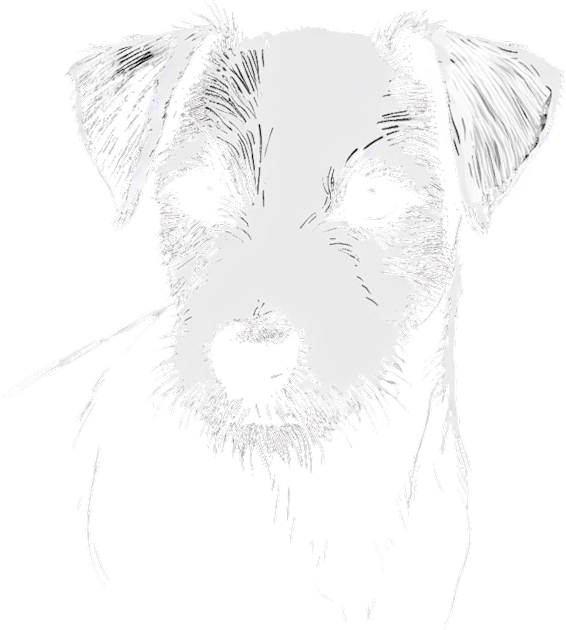 Portrait of a Jack Russell Terrier Kids T-Shirt by ZogDog Pro