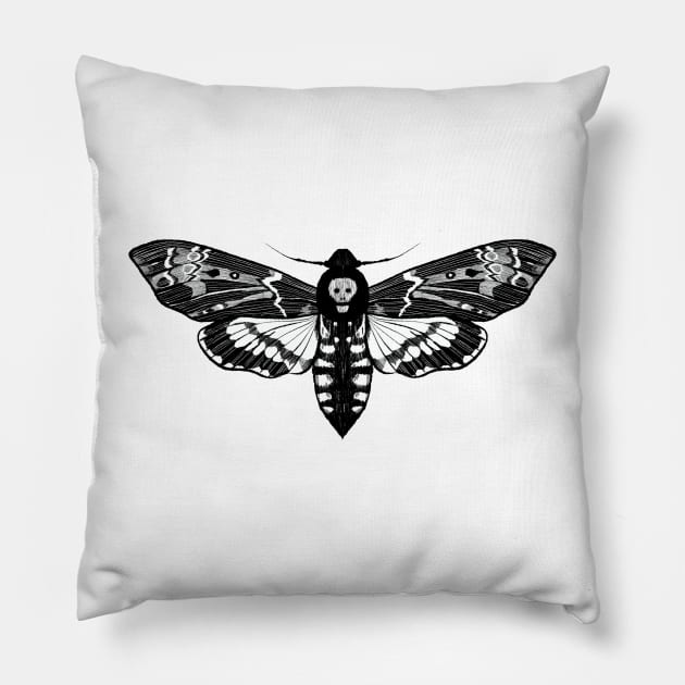 Death's Head Moth Pillow by JCPhillipps