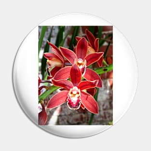 Key West Orchid Pin