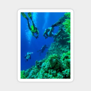 Scuba diving in the Red Sea Magnet