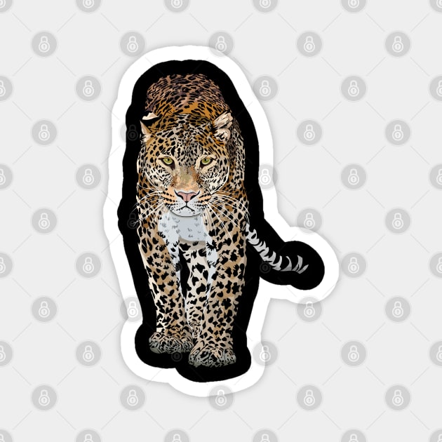 Walking Leopard Magnet by ilhnklv