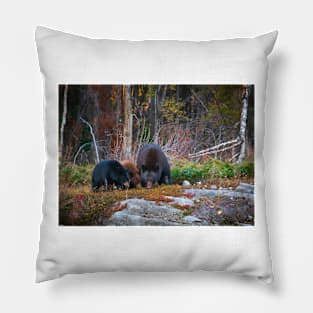 The 3 Bears Pillow