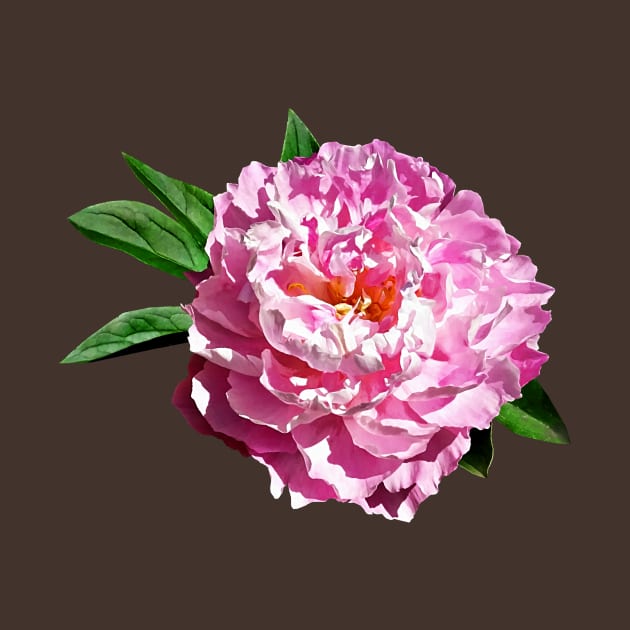 One Pale Pink Peony by SusanSavad