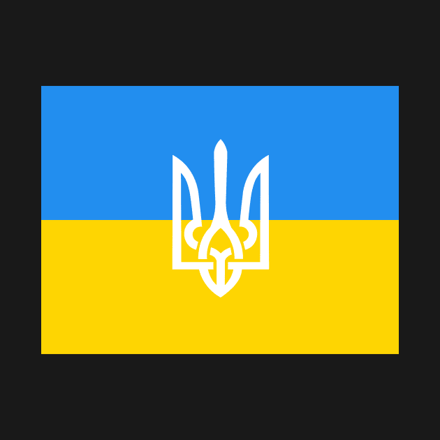 Ukraine Flag by lounesartdessin