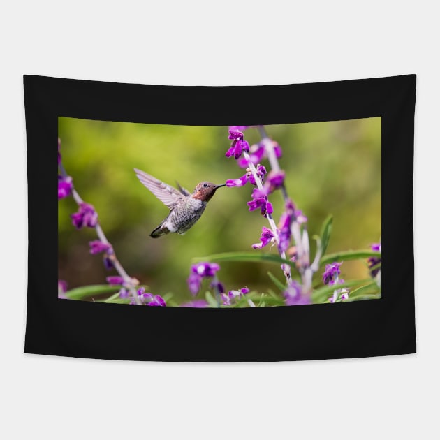 Hummingbird Having a Snack Tapestry by JeffreySchwartz