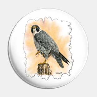 Peregrine Pin