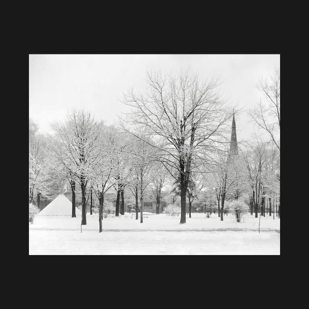 Winter in the Park, 1915. Vintage Photo by historyphoto