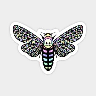 Rainbow Death's Head Hawk Moth Magnet