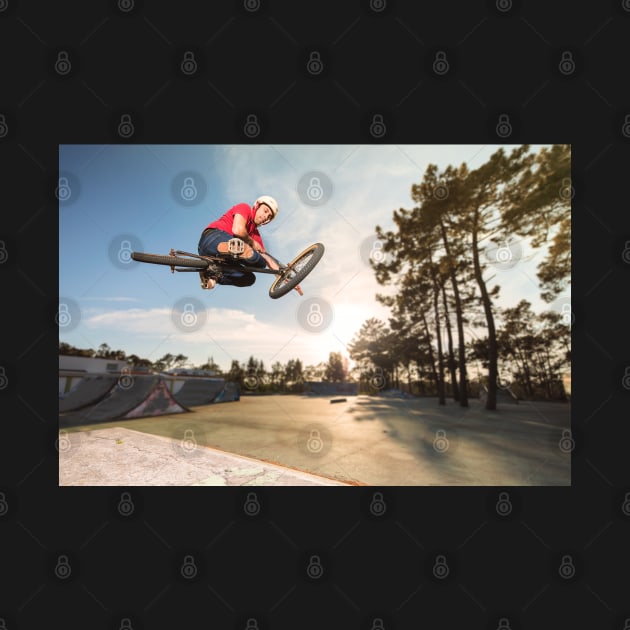 BMX Bike Stunt Table Top by homydesign