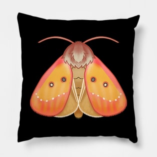 Pink Star Moth Pillow