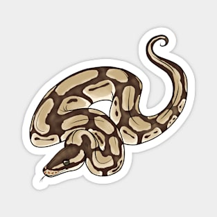 Lesser Pastel Ball Python Magnet