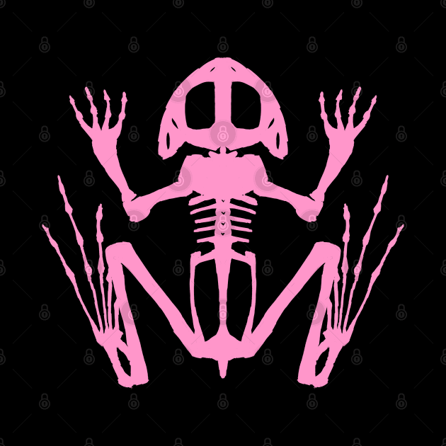 Frog Skeleton (Pink) by braincase