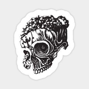 art skull Magnet