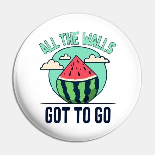 all the walls have got to go - free palestine Pin