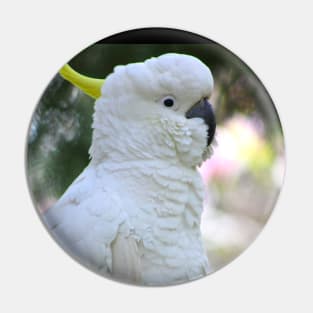 The Sulphur Crested Cockatoo Pin