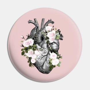 Human heart and roses, anatomy illustration art, lightpink roses and leaves Pin