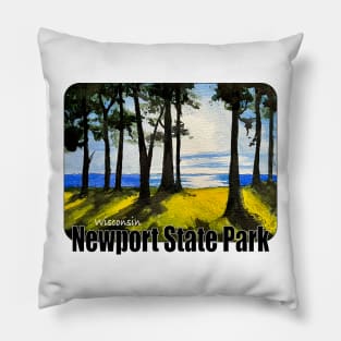 Newport State Park, Wisconsin Pillow