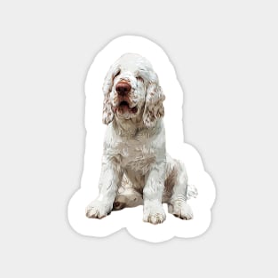 Clumber Spaniel Love that face! Magnet