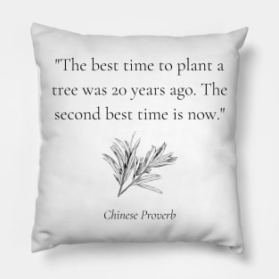 "The best time to plant a tree was 20 years ago. The second best time is now." - Chinese Proverb Inspirational Quote Pillow