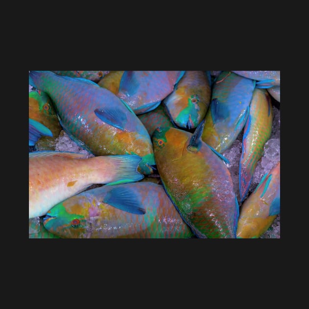 parrot fish by likbatonboot