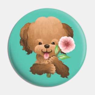 Poodle Dog Holding a Flower Pin