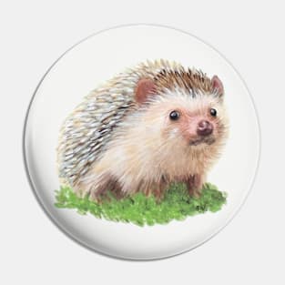 Hedgehog Painting Pin