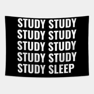 Study Study Sleep - Medical Student in Medschool Tapestry