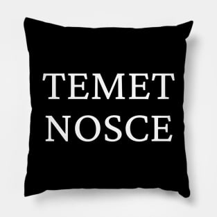 Temet nosce Pillow