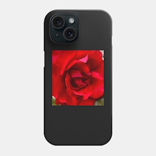 Love as the Red Rose Phone Case