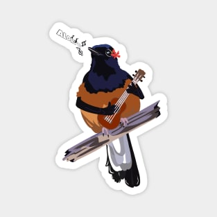 Hawaiian White-Rumped Shama Magnet